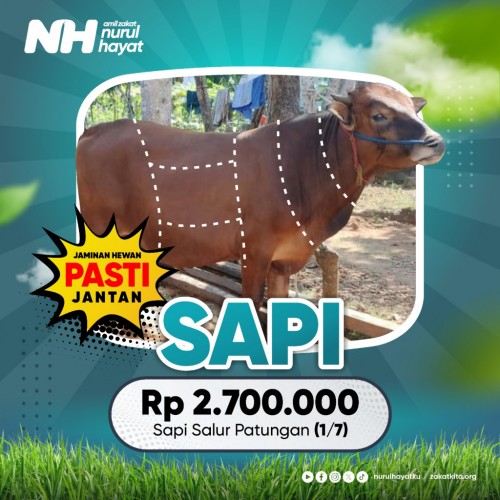 Sapi Salur Patungan (1/7)

