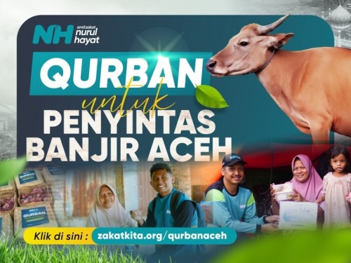Sapi 1 Ekor (+-250 Kg) Salur Aceh